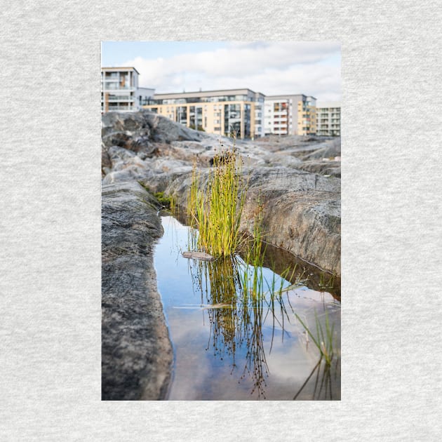 Lakeshore Bulrush by ansaharju